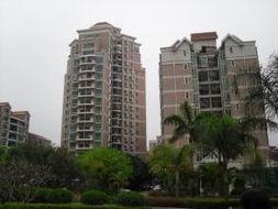 新亚洲,经济、文化、科技的多维度变革