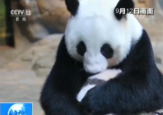 www亚洲色图,探寻东方风情与艺术之美