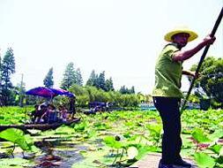 亚洲成片,多元文化交融下的光影魅力